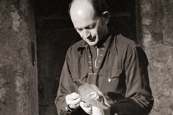 Mann in dunkler Kleidung hält behutsam eine Taube vor einer rustikalen Steinwand